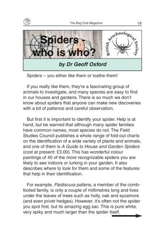 Spiders - who is who?