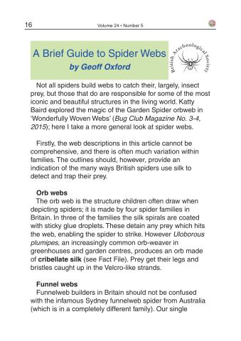 A Brief Guide to Spider Webs