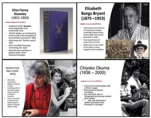 Pioneering women arachnologists from Prof Rosemary Gillespie's Symposium talk
